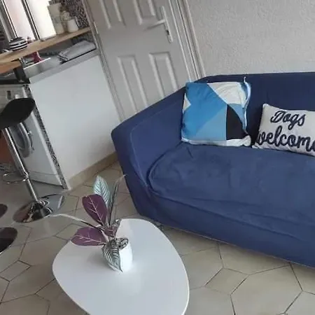 Casa De La Playa,wifi, Parking Prive Gratuit,animaux Admis, 100m Mer Apartment Le Barcares